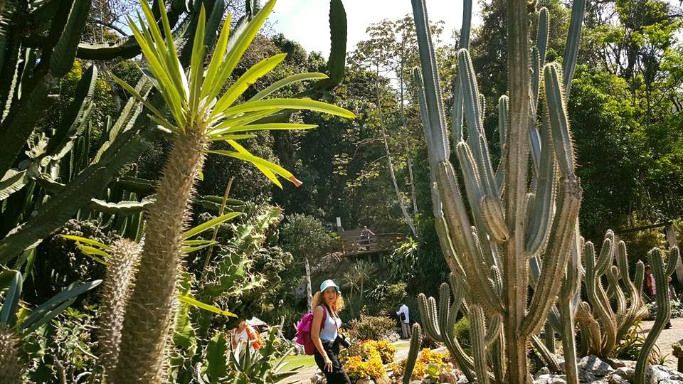 Rio de Janeiro'daki Botanik Bahçeden Bir Enstantene