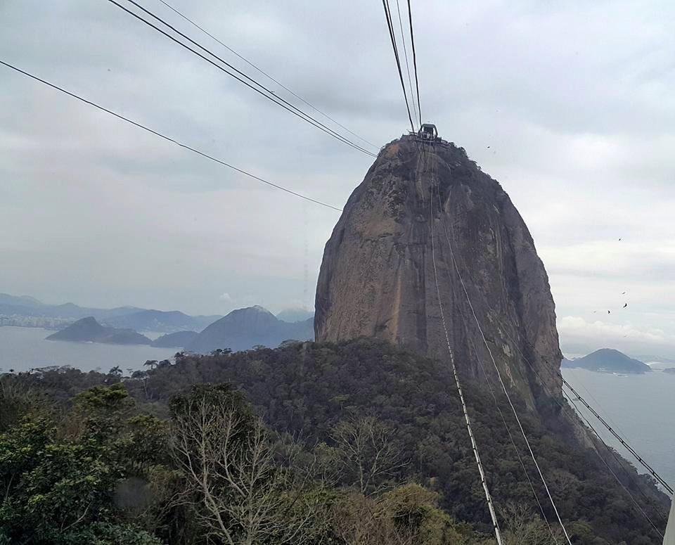 Rio de Janeiro'da Kesme Şeker Dağı