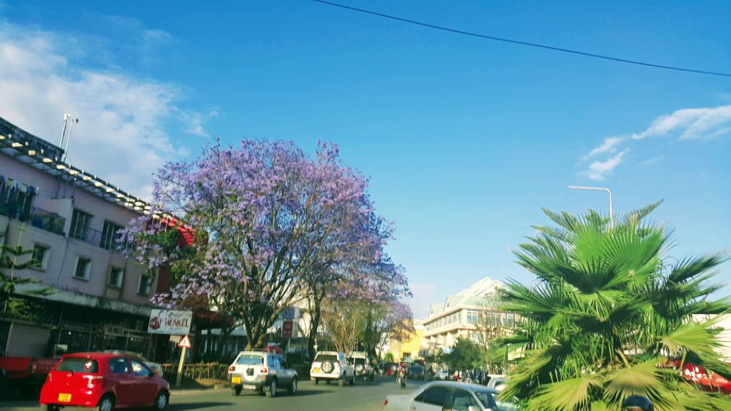 Arusha Şehir Merkezi 
