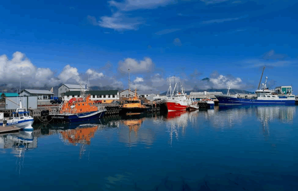 İzlanda Höfn