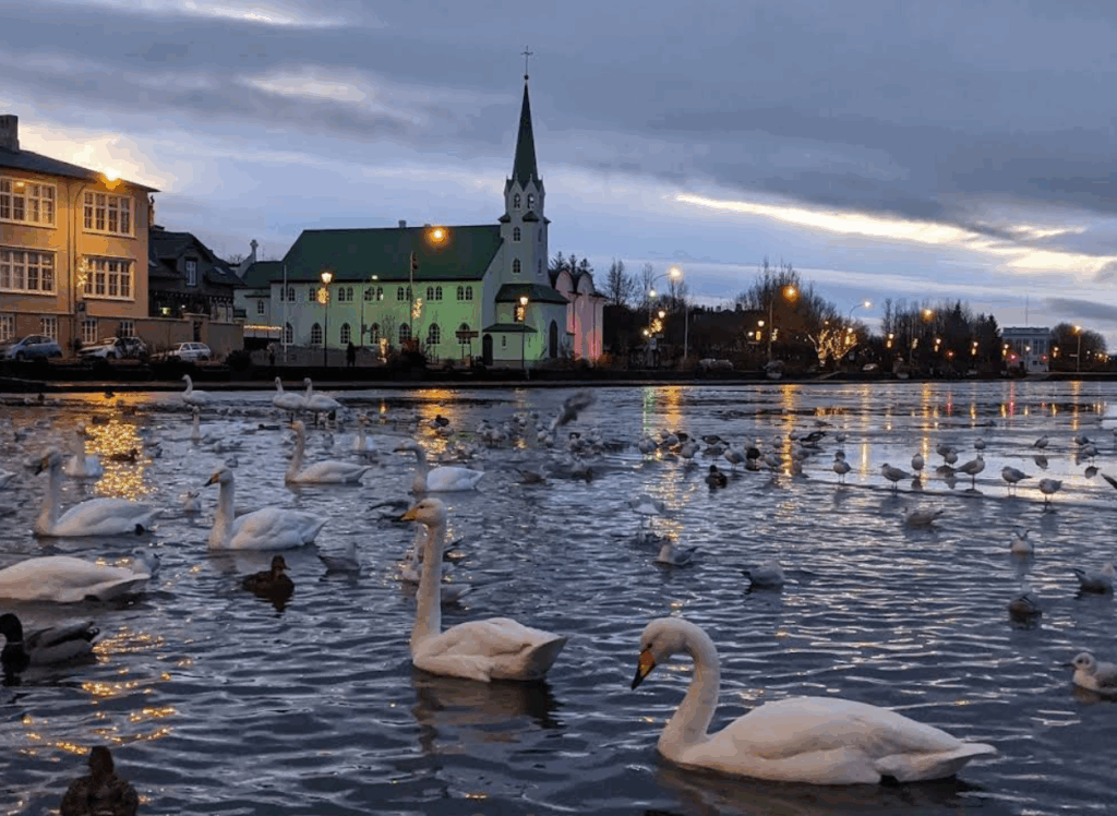 İzlanda, Reykjavik - Tjörnin