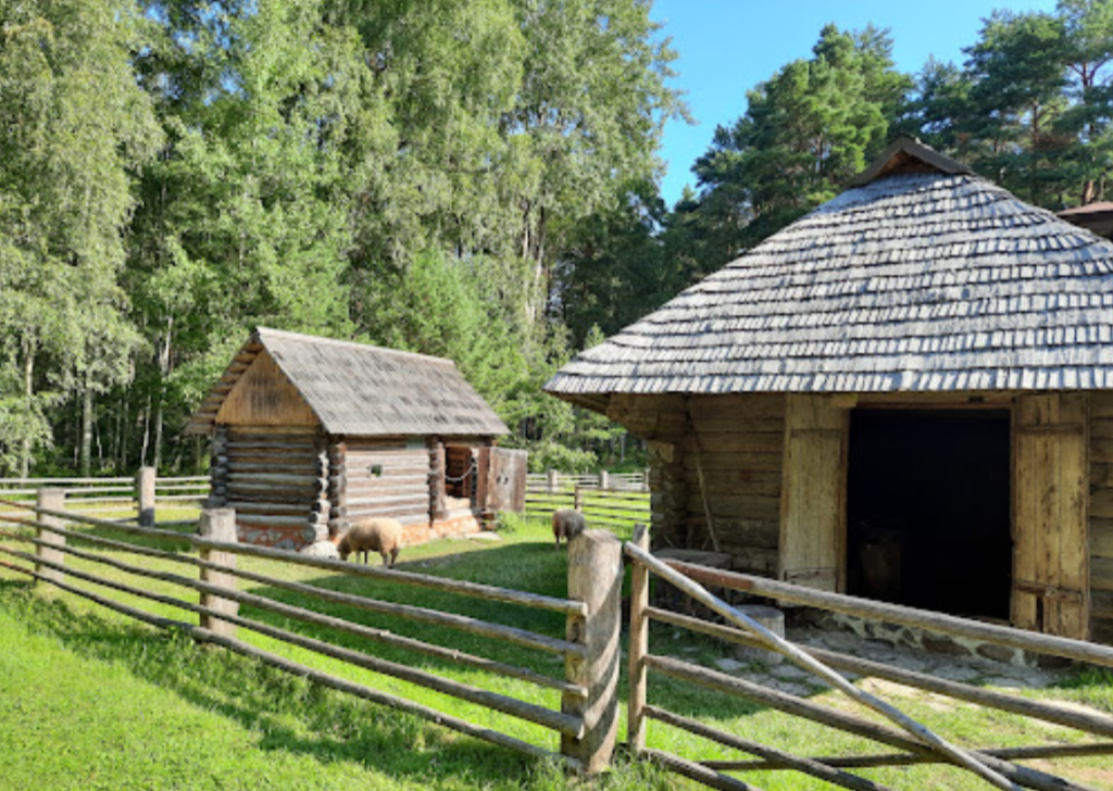 Estonya Açık Hava Müzesi (Estonian Open Air Museum)