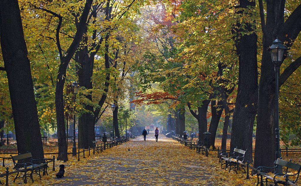 Planty Park, Krakow Gezilecek Yerler