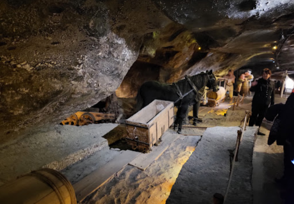 Wieliczka Salt Mine (Wieliczka Tuz Madeni), 