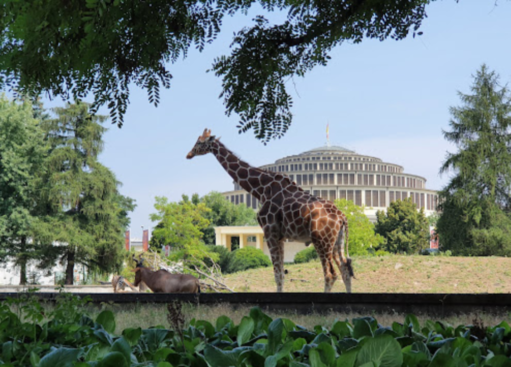 Wroclaw Hayvanat Bahçesi –(Wroclaw Zoo) Wroclaw Gezilecek Yerler