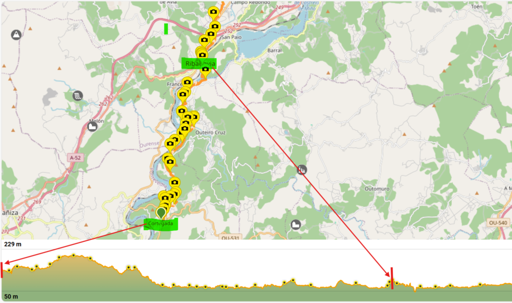 Camino Santiago Yolu, Cortegada > Ribadavia Etabı