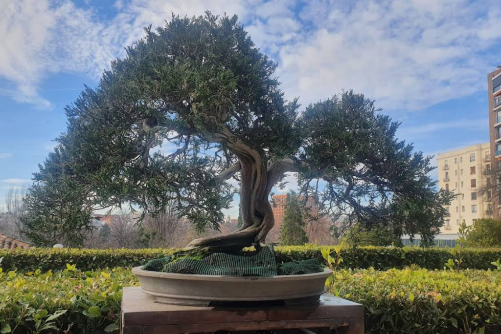 Madrid Gezilecek Yerler, Real Jardines Botanicos
