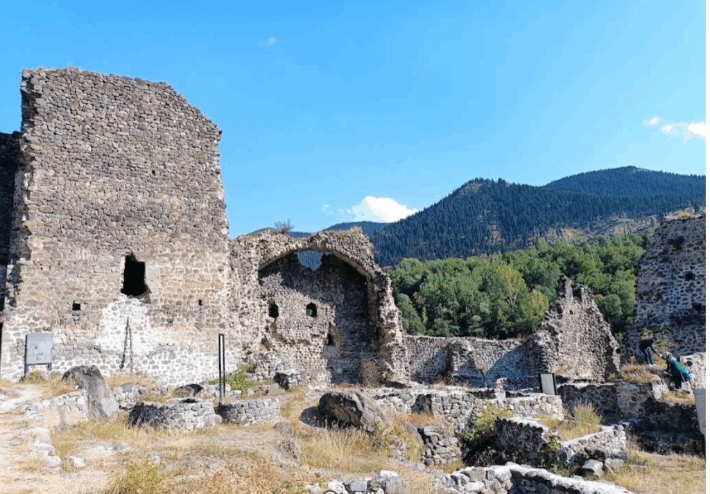 Şavşat Gezilecek Yerler, Şavşat Kalesi
