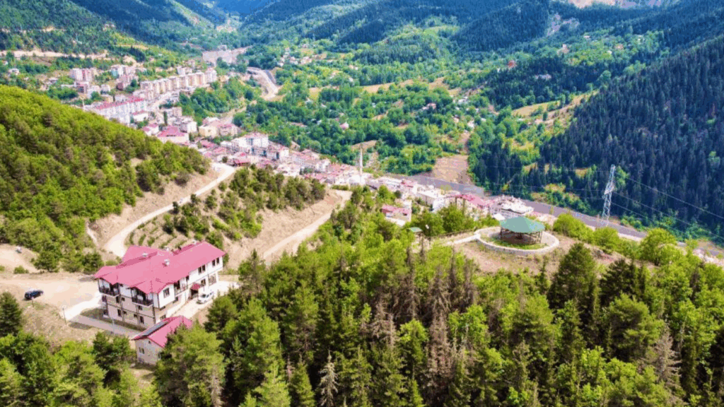 Şavşat İlçe Merkezi