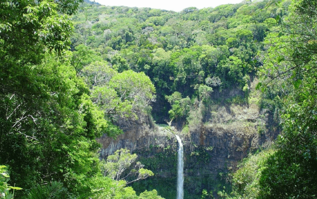 Madagaskar Gezilecek Yerler, Montagne d’Ambre