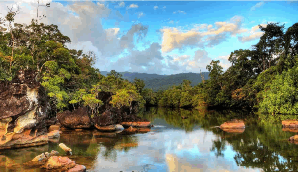 Madagaskar Gezilecek Yerler, Ranomafana Milli Parkı
